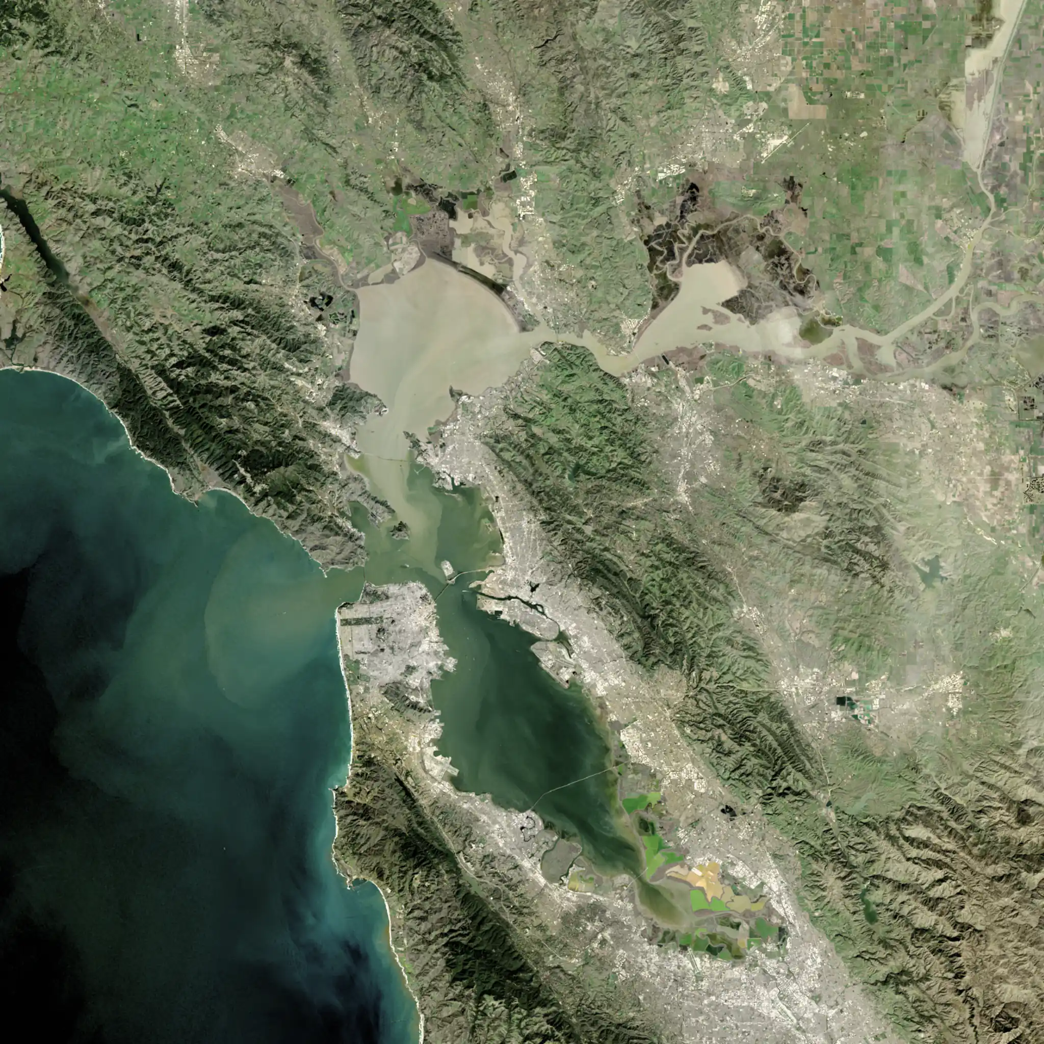 The San Francisco Bay seen straight down from orbit by a NASA satellite: Berkeley on the eastern shore, San Francisco across the water and the Golden Gate opening to the Pacific.